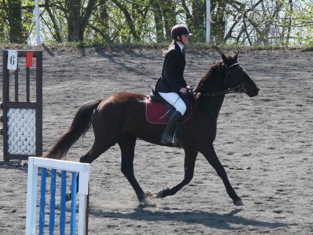 Arwen v kolbišti před soutěží stupně Z