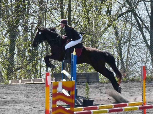 Arwen v soutěži stupně Z