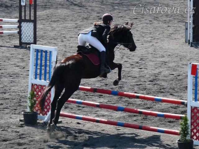 Arwen v soutěži stupně Z