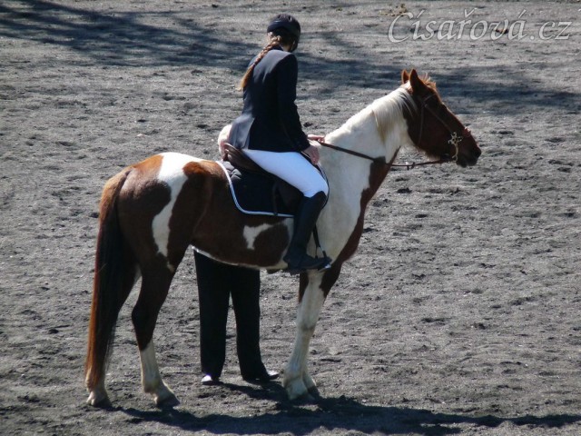 Vikina při dekorování soutěže Z - 5.místo