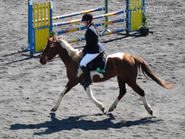 Vikina při dekorování soutěže Z - 5.místo