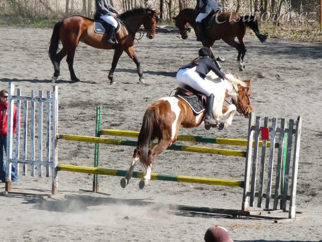 Vikina skáče na opracovišti před soutěží ZL