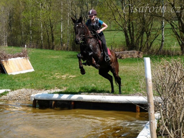 Arwen a její první skok do vody