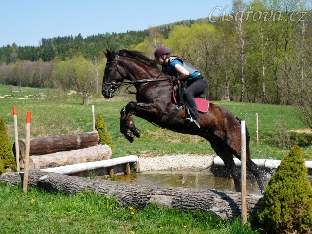 Arwen, výskok z vody
