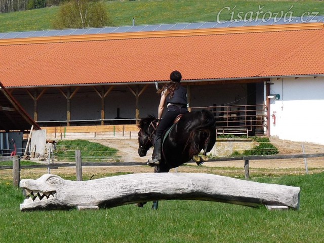 Carthago, přeskok přes kmen