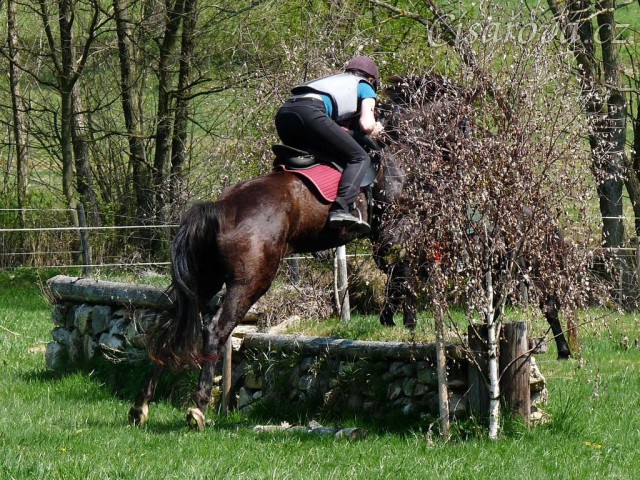 Arwen, kamenná zídka