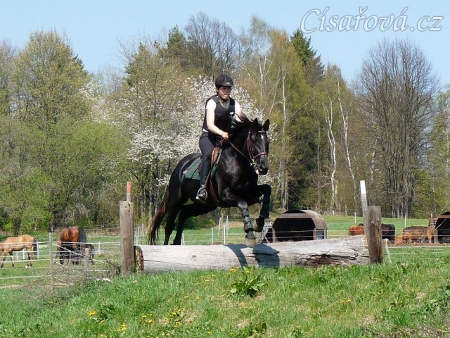 Carthago, výskok na irskou lavici