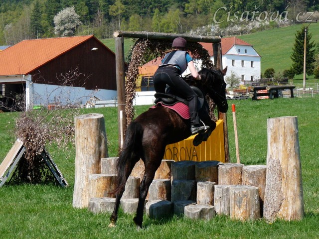 Arwen, triblebar ze špalků