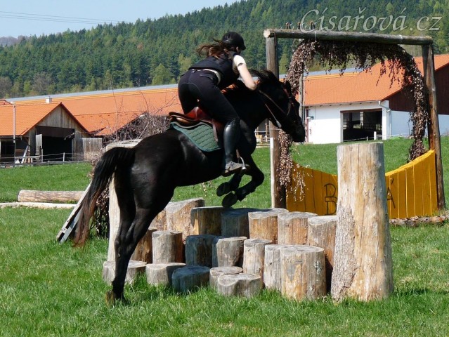 Carthago, triblebar ze špalků