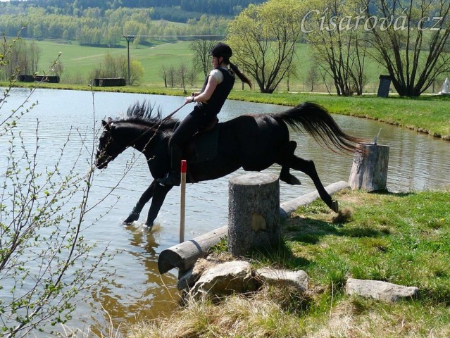 Carthago, seskok do rybníka