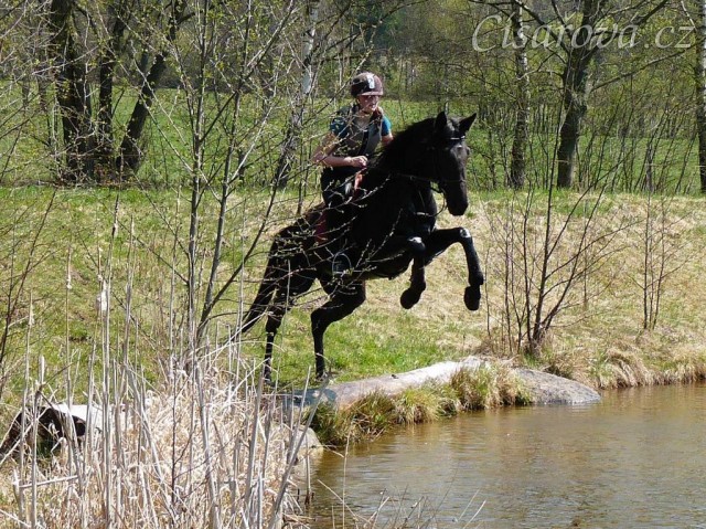 Arwen, seskok do rybníka