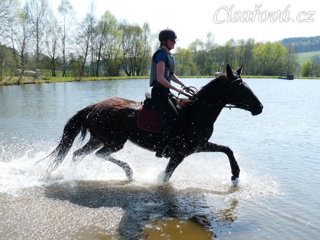 Arwen kluše vodou - je potřeba pořádně zvedat nohy:-)