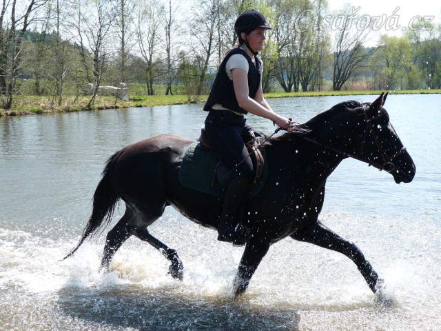 Carthago kluše vodou - je potřeba pořádně zvedat nohy:-)