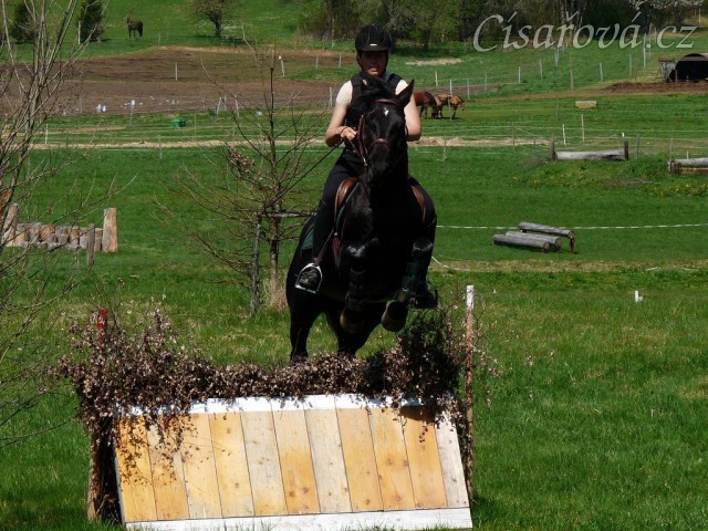 Carthago, skok přes áčko s proutěnkou