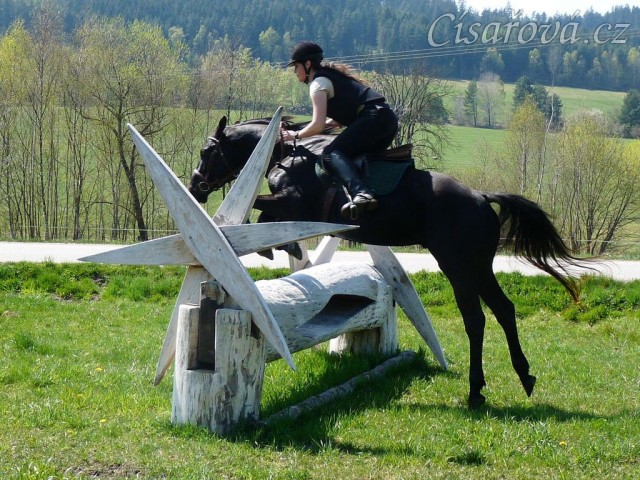 Carthago, vyšší kláda alias mlýny