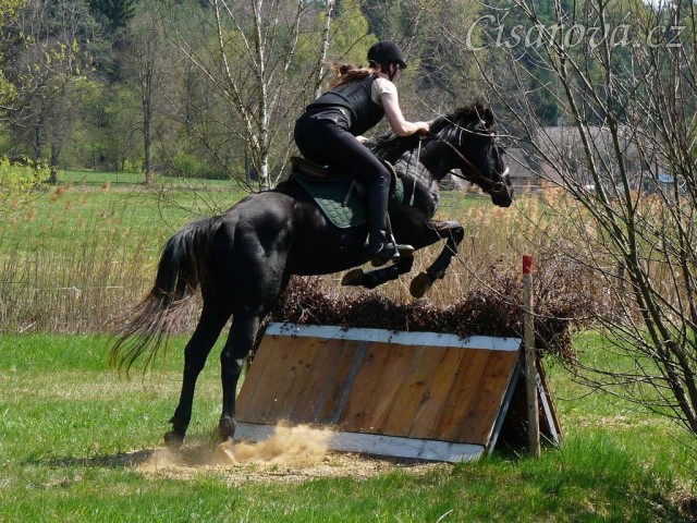 Carthago, skok přes áčko s proutěnkou
