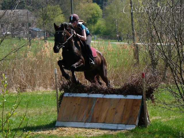Arwen, skok přes áčko s proutěnkou