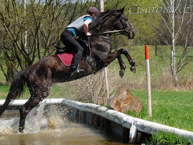 Arwen, výskok z vody