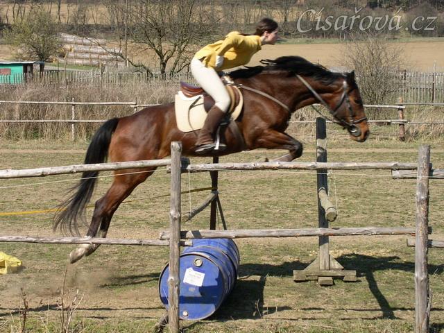 Skoková řada bez otěží