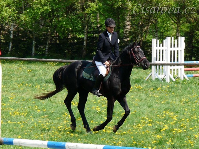 Carthago při čestném kole soutěže ZM, kde se umístil na 2. místě