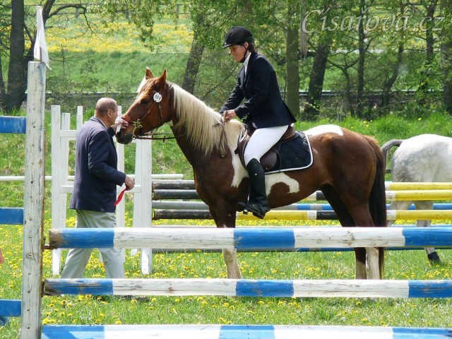 Vikina při dekorování soutěže Z, 3. místo