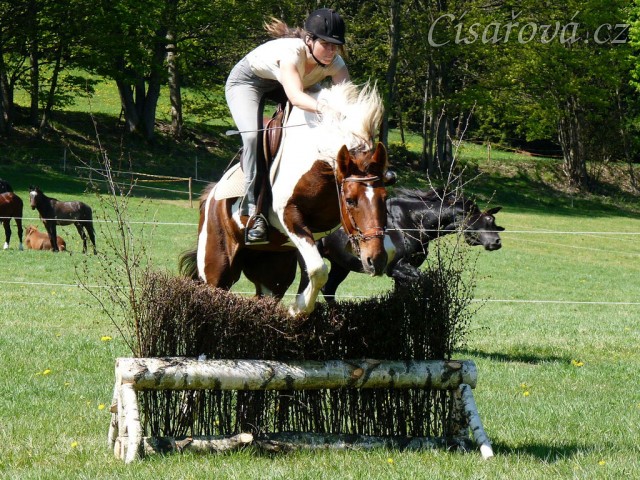 Vikina skáče přes naší novou proutěnku, trochu jí to nevyšlo:-)