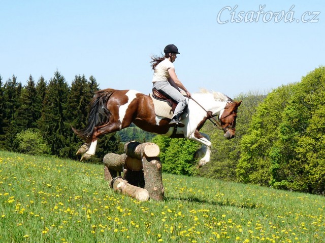Vikina a skok přes větší kolmák ze svahu