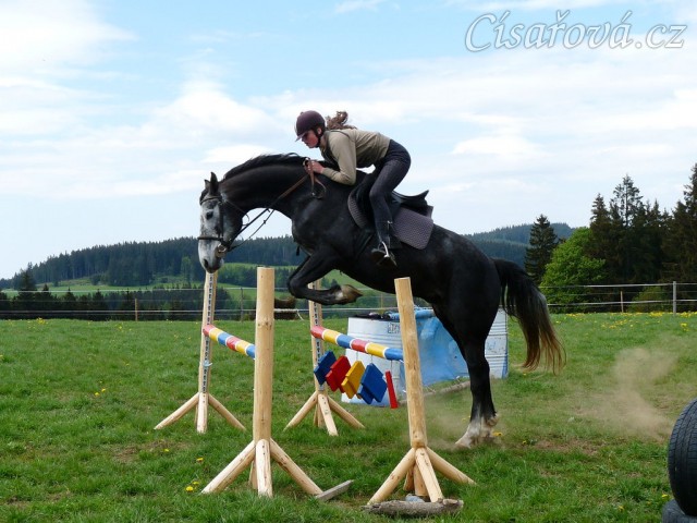 Také začínáme vyrábět nový skokový materiál, nové stojany a barevné klády