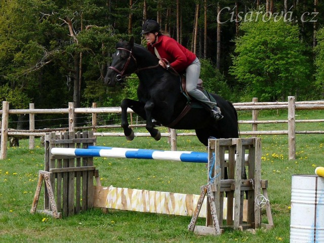 Také začínáme vyrábět nový skokový materiál, staré stojany a na nich už barevné klády