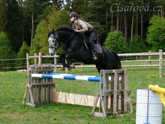 Také začínáme vyrábět nový skokový materiál, staré stojany a na nich už barevné klády
