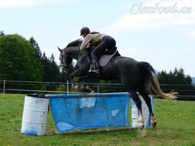 Nejlepším "bubákem" ale zůstává stará plachta:-)