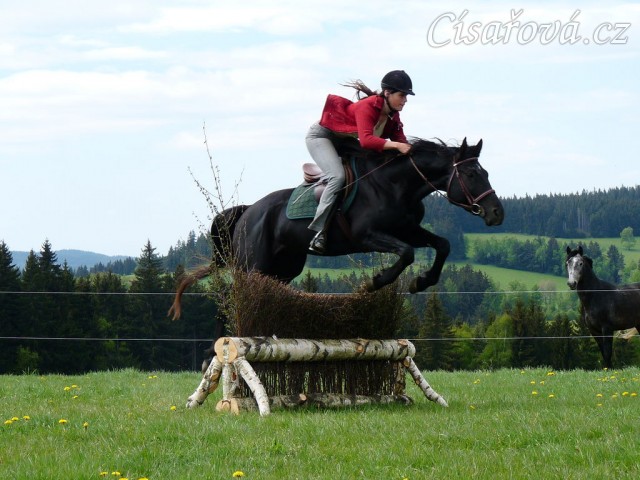 Carthago skáče přes naší novou proutěnku