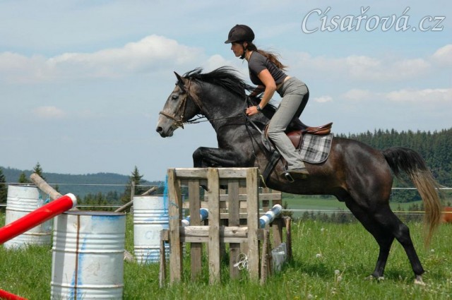 Rybíz jede malý parkurek. Olga a Věra Procházková