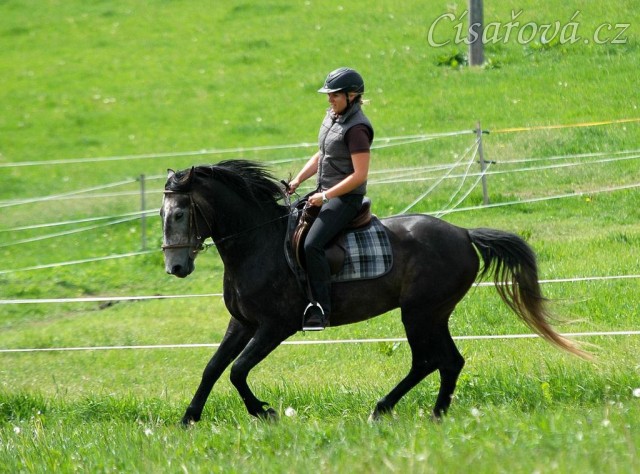 Rybíz s majitelkou na jízdárně. Olga a Věra Procházková