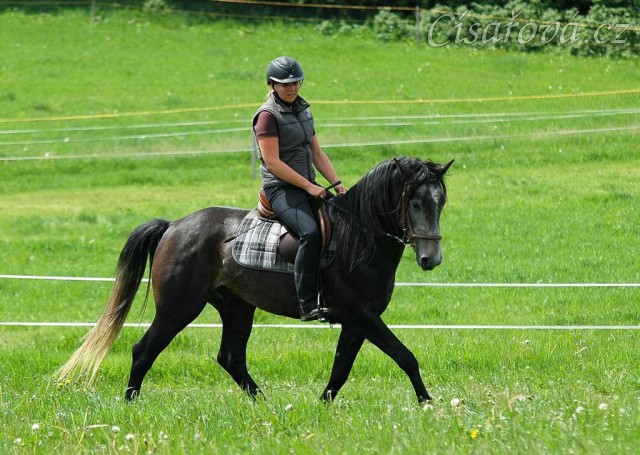 Rybíz s majitelkou na jízdárně. Olga a Věra Procházková