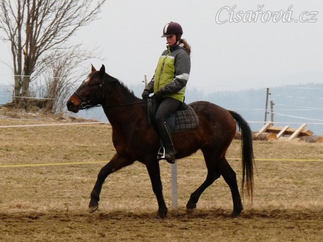 Monty na jízdárně