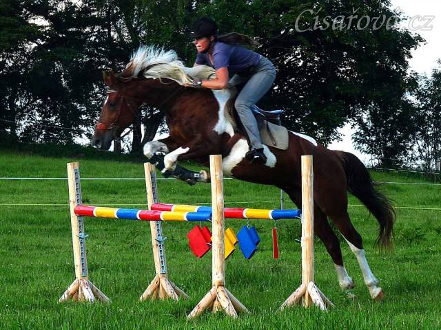 Oxer z nových stojanů a barevných klád, tentokráte s Vikinou...