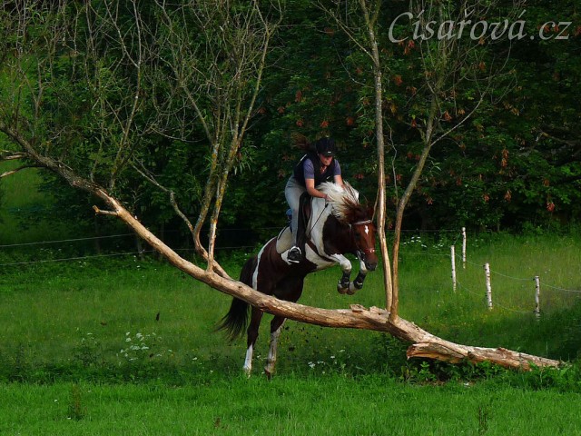 Vikina a "průskok" stromem. Zatím jeden z nejtěžších terénních skoků u nás, skok je vysoký něco přes metr. Místo, kam se člověk musí trefit, je široké 1,5 metru:-)