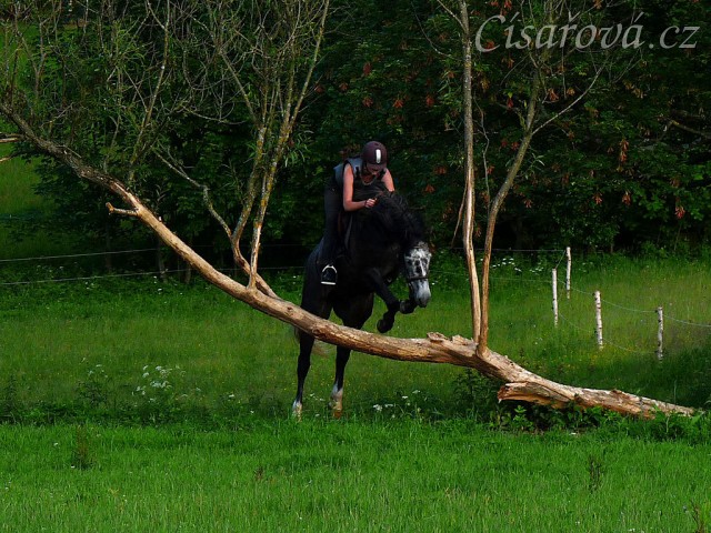 Jared a "průskok" stromem. Zatím jeden z nejtěžších terénních skoků u nás, skok je vysoký něco přes metr. Místo, kam se člověk musí trefit, je široké 1,5 metru:-)