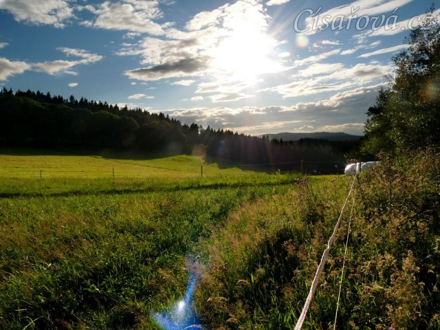 22.8.2011 - Pohled na pastviny