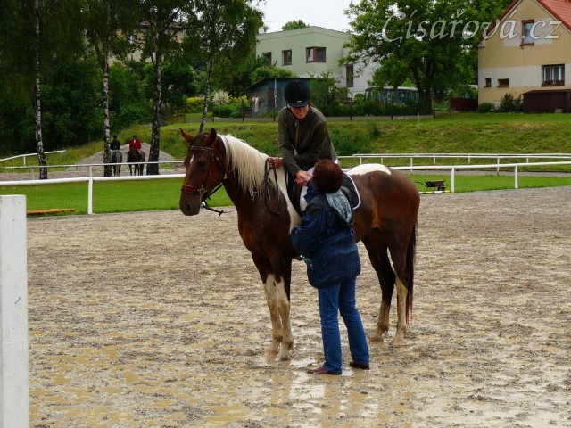 Vikina při dekorování v Klatovech - ZL, 3. místo