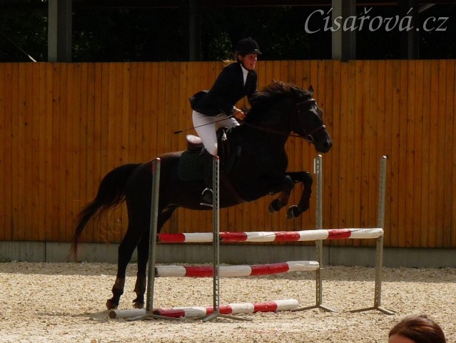 Carthago a opracování před soutěží, Hraďištko ČŠMK