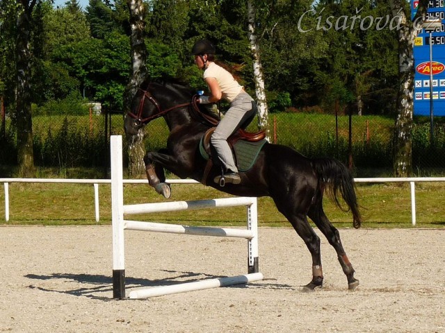 Carthago při tréninku v Klatovech, červen 2011