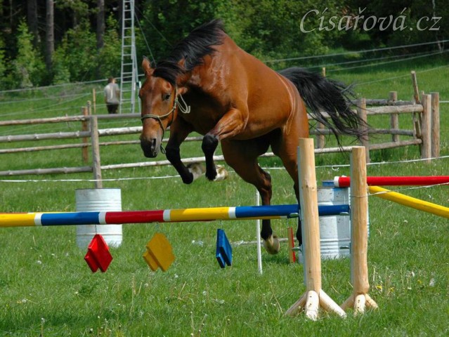 Bára při prvním skákání ve volnosti, květen 2011