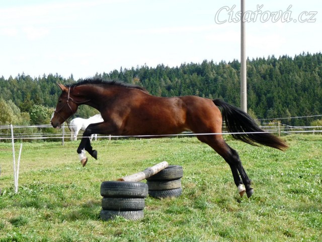 Skákání ve volnosti, září 2010