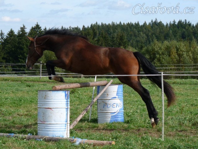 Skákání ve volnosti, září 2010