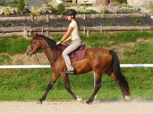 Trénink na kolbišti, srpen 2011