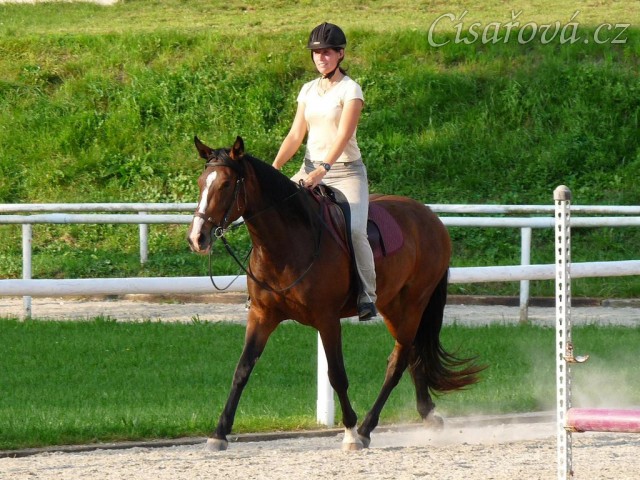 Trénink na kolbišti, srpen 2011