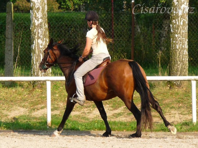 Trénink na kolbišti, srpen 2011