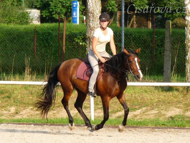 Trénink na kolbišti, srpen 2011